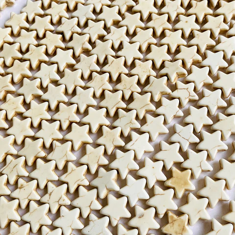 SEPARADOR ✦ ESTRELLA FÓSIL (ELIGE TU COLOR FAVORITO)