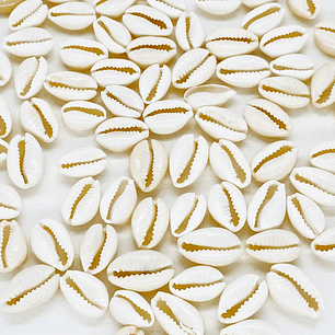 CONCHA NATURAL CAR14MM