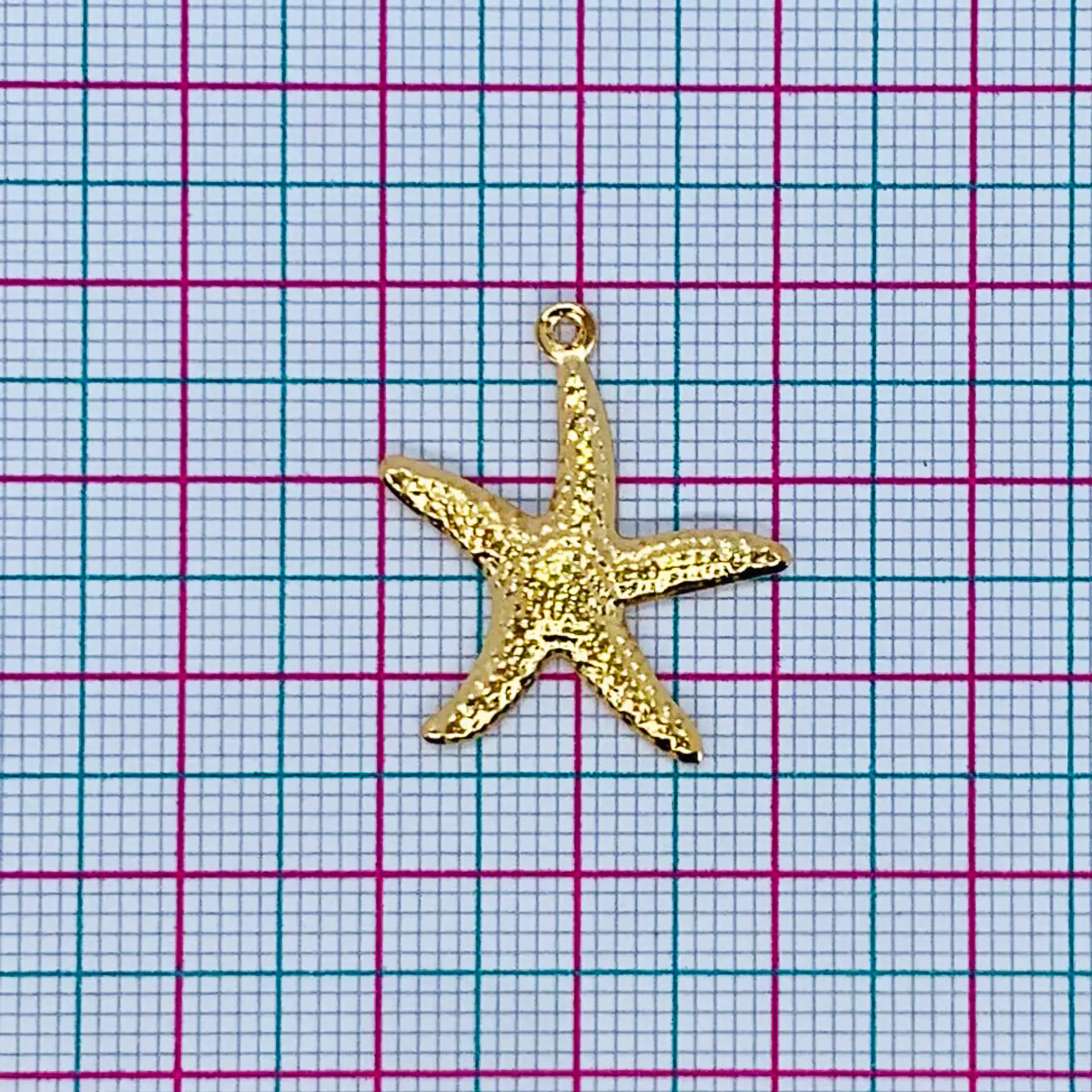 ESTRELLA DE MAR BAÑO DE ORO 2