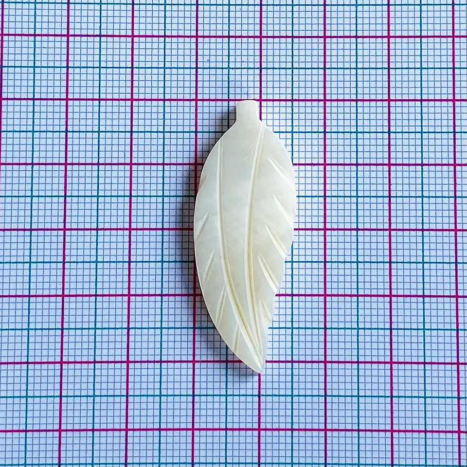 PLUMA NÁCAR MNCO901 2