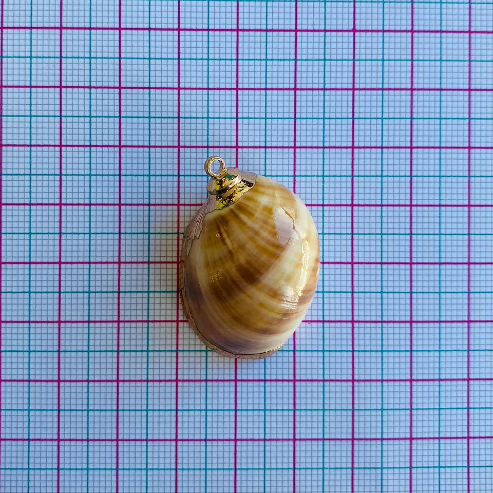 CARACOL NACAR Z059 2
