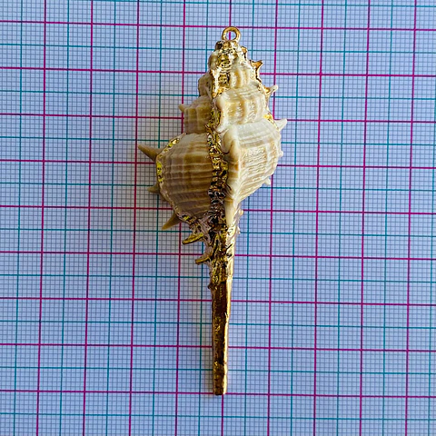 CARACOL NACAR Z060