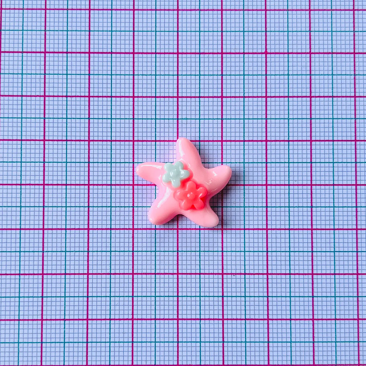 PIN ✦ ESTRELLA DE MAR ACRÍLICA 2