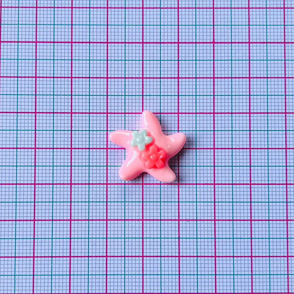 PIN ✦ ESTRELLA DE MAR ACRÍLICA 2