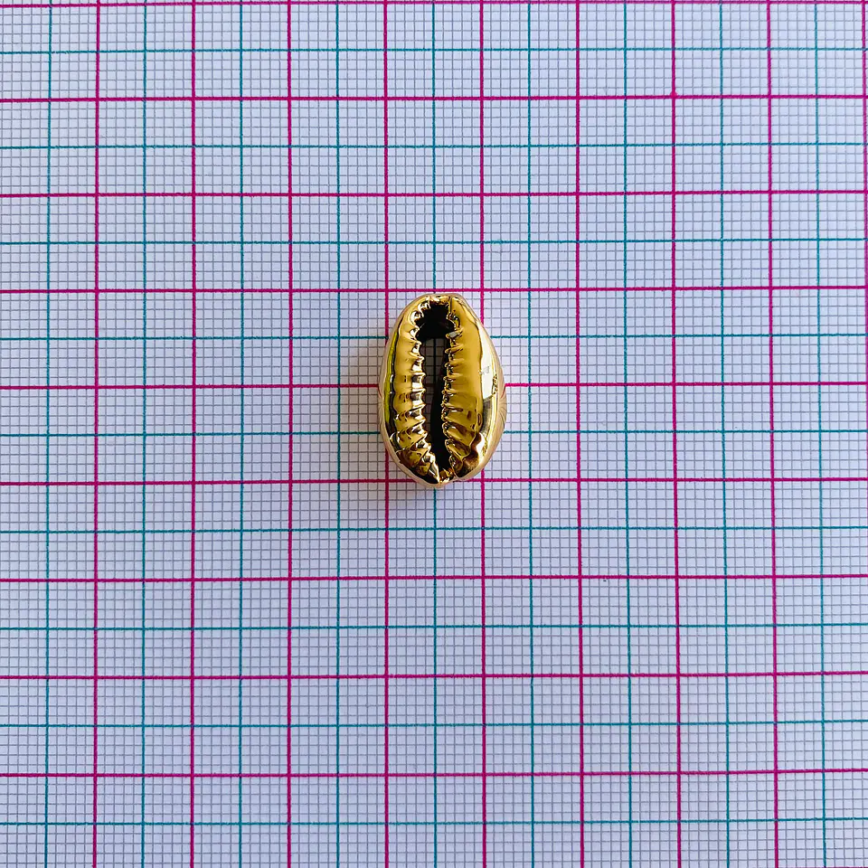 SEPARADOR ✦ CONCHA PLASTIMETAL 2