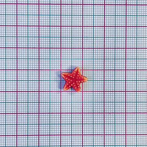 ESTRELLA DE MAR PLÁSTICA Z025