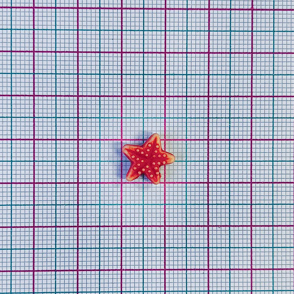ESTRELLA DE MAR PLÁSTICA Z025 2
