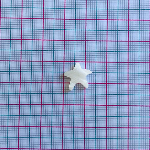 ESTRELLA DE MAR NÁCAR Z049E