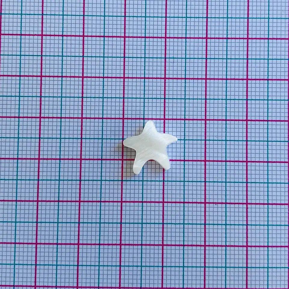 ESTRELLA DE MAR NÁCAR Z049E 2