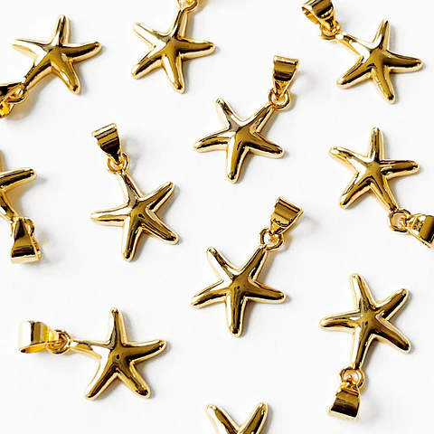 ESTRELLA DE MAR RODIO W07114B