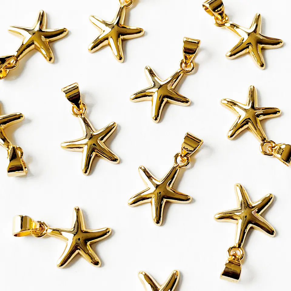 ESTRELLA DE MAR RODIO W07114B 1
