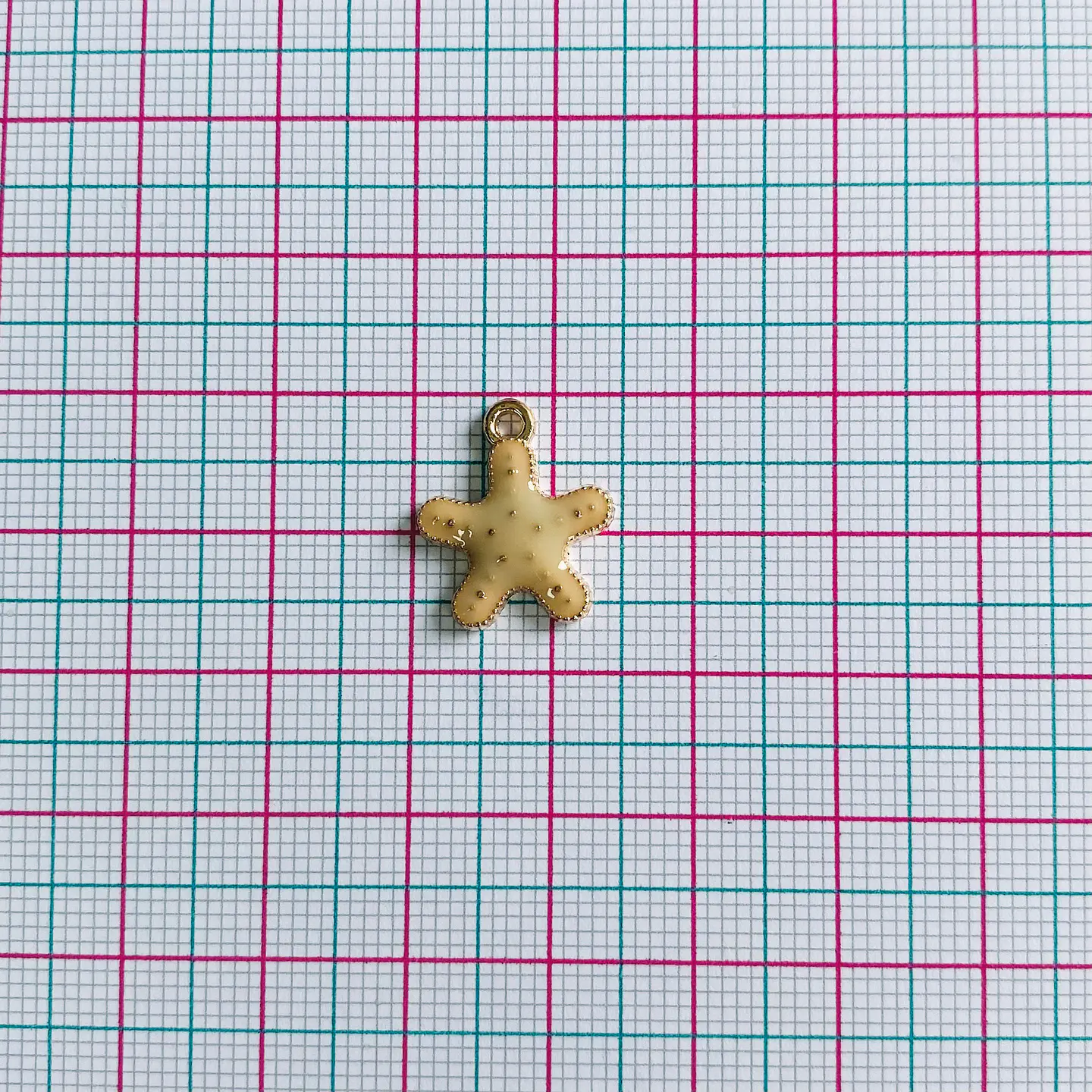 DIJE ✦ ESTRELLA DE MAR FANTASÍA 2