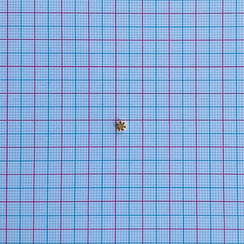 SEPARADOR ✦ FLOR BAÑO DE ORO