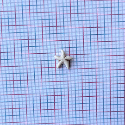 SEPARADOR ESTRELLA DE MAR PLÁSTICA Z097