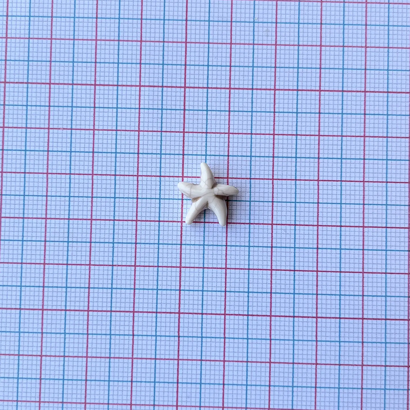 SEPARADOR ESTRELLA DE MAR PLÁSTICA Z097 2