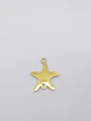 ESTRELLA DE MAR ACERO YH-42 - Miniatura 1