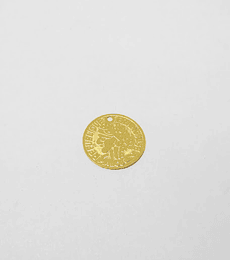 MINIDIJE MONEDA BAÑO DE ORO 255                                  