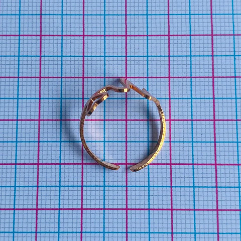ANILLO ✦ LÍNEA DE LA VIDA 