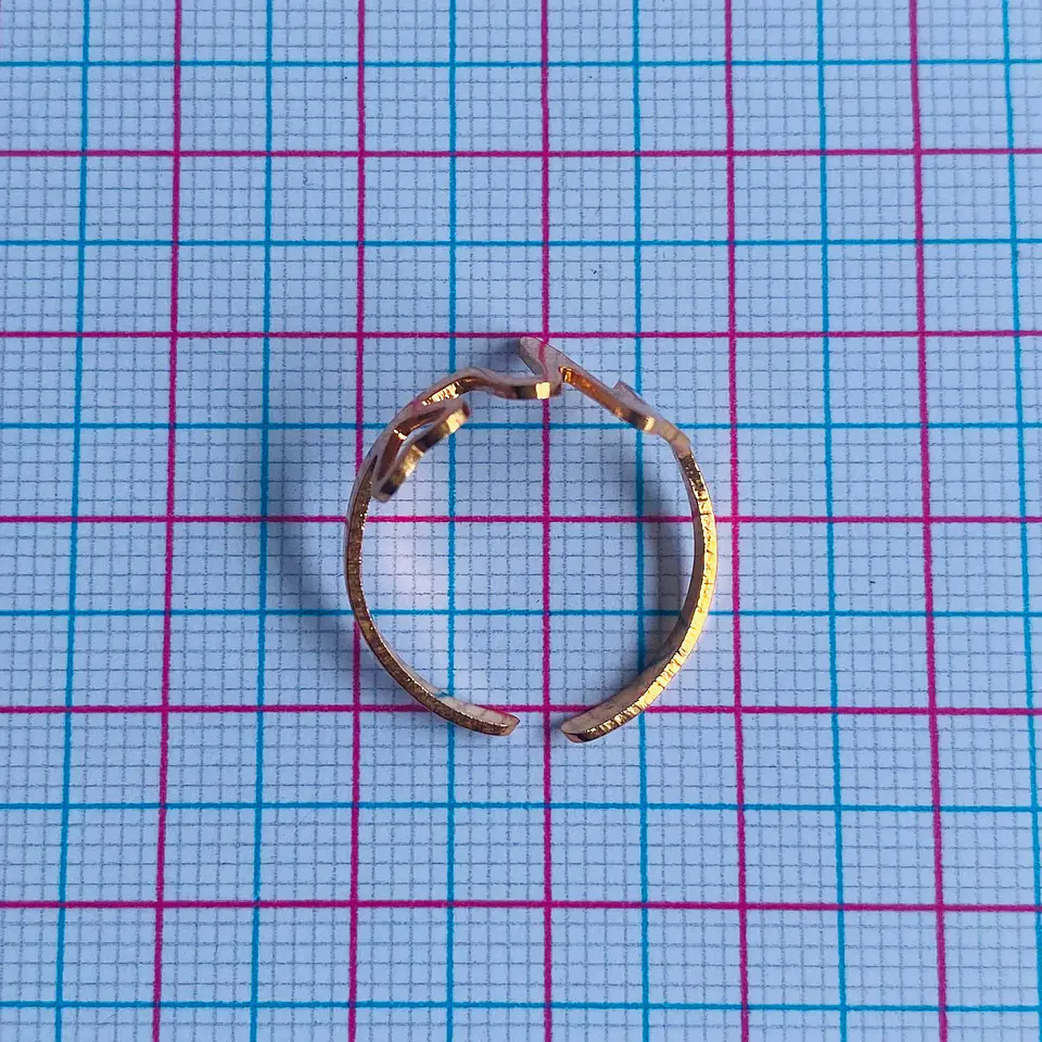 ANILLO ✦ LÍNEA DE LA VIDA  2