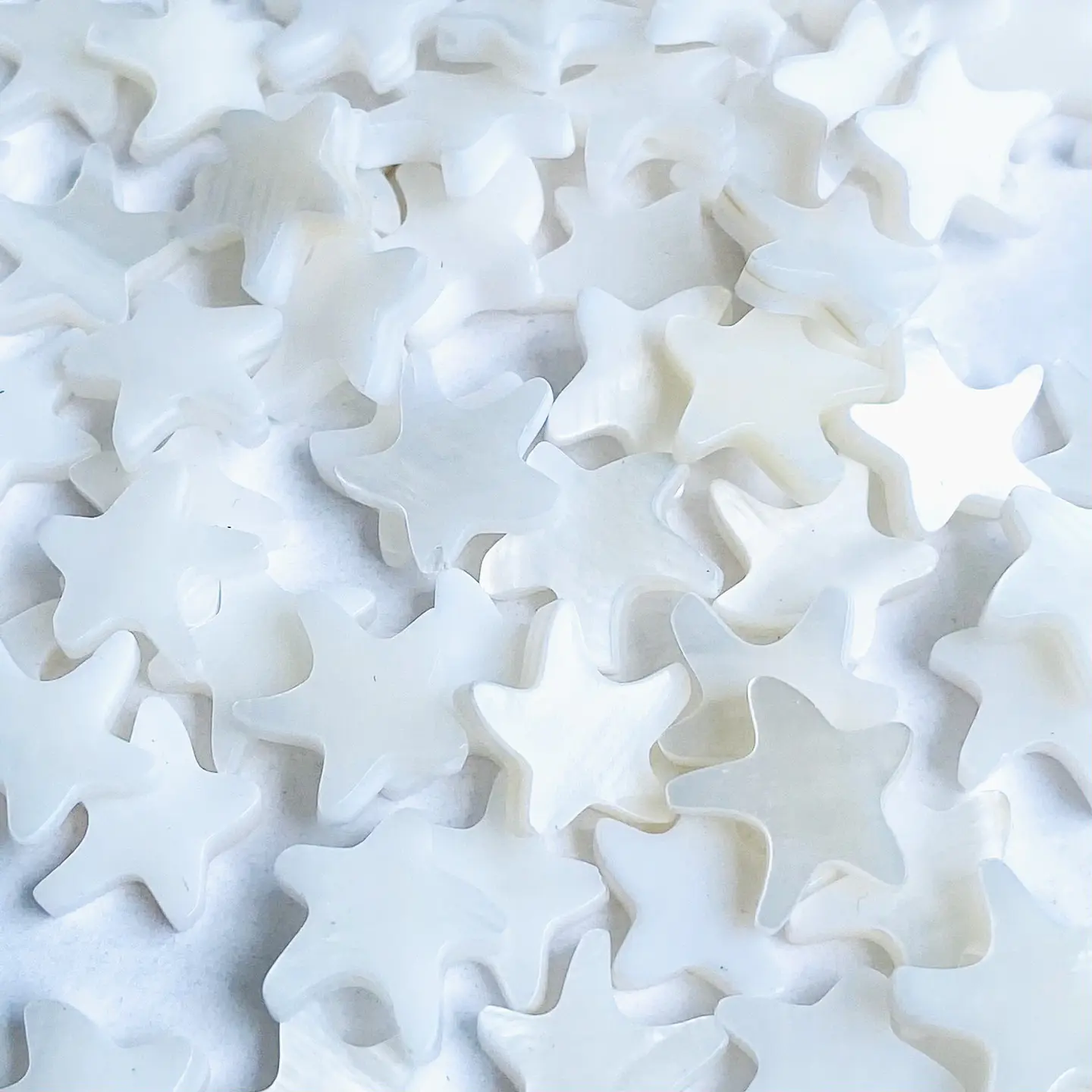 ESTRELLA DE MAR NÁCAR Z049E 1