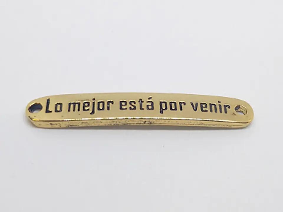 PLACA FRASE BAÑO DE ORO T3132          1