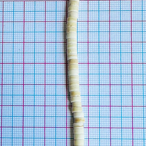 SEPARADOR ✦ PASTILLA FOSIL 4MM