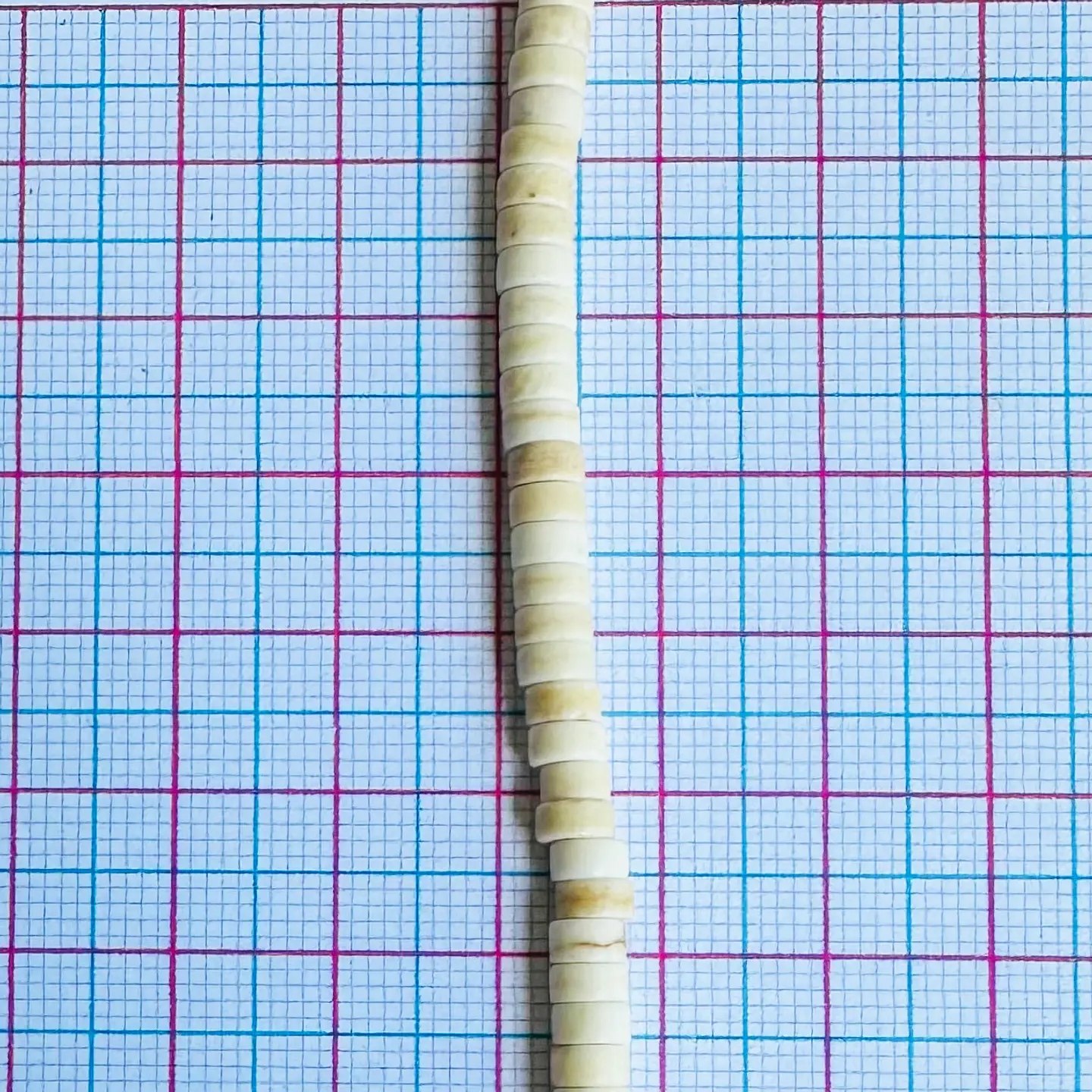 SEPARADOR ✦ PASTILLA FOSIL 4MM 2