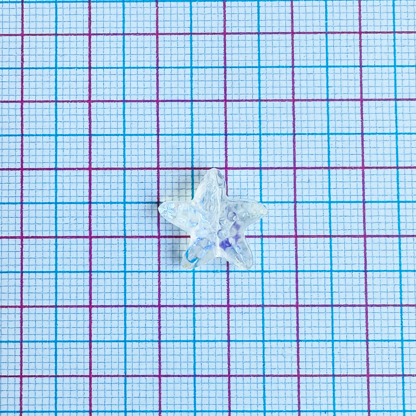 SEPARADOR ✦ ESTRELLA DE MAR CRISTAL 2