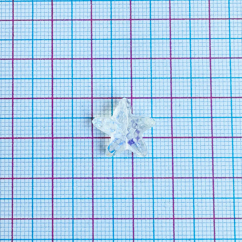SEPARADOR ✦ ESTRELLA DE MAR CRISTAL 2