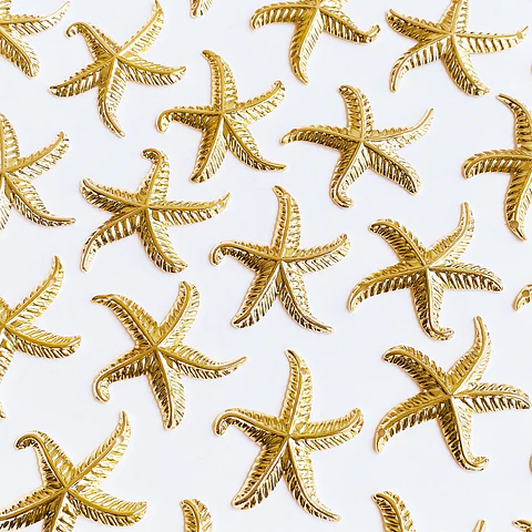 DIJE ✦ ESTRELLA DE MAR
