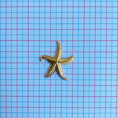DIJE ✦ ESTRELLA DE MAR