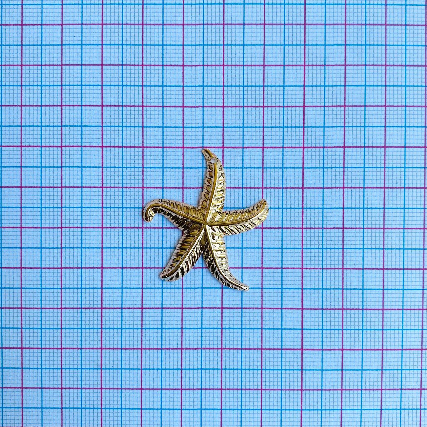 DIJE ✦ ESTRELLA DE MAR 2