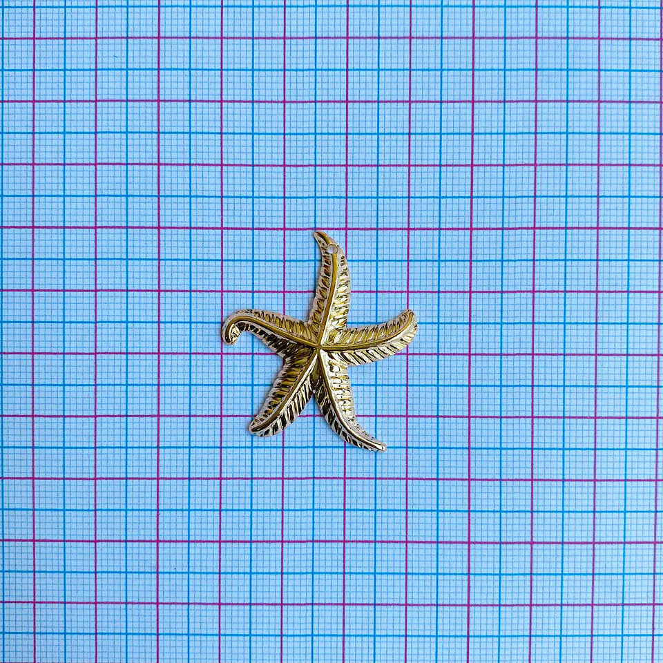 DIJE ✦ ESTRELLA DE MAR 2