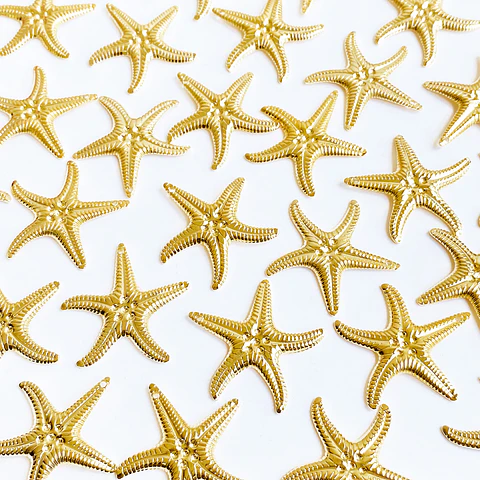 DIJE ✦ ESTRELLA DE MAR