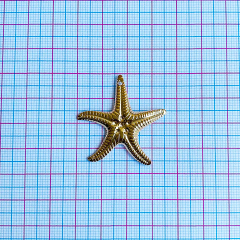 DIJE ✦ ESTRELLA DE MAR