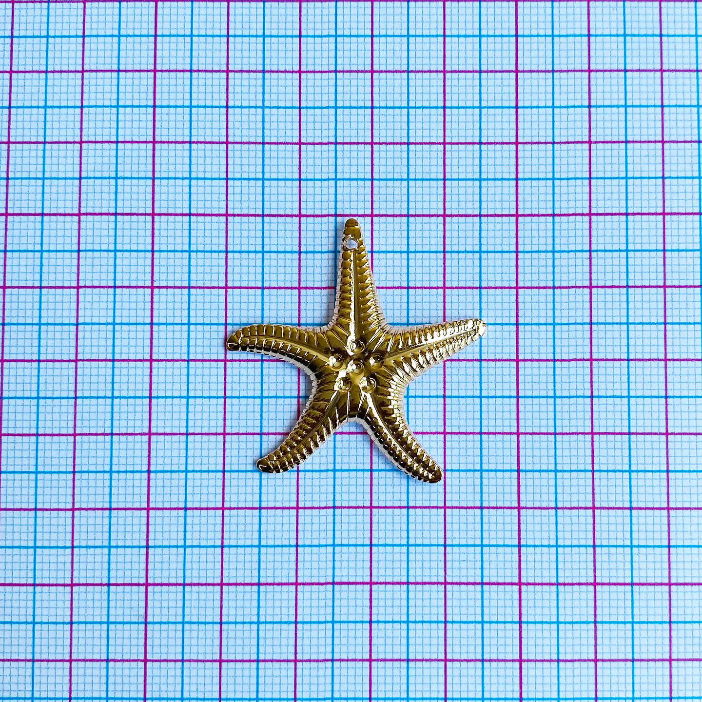 DIJE ✦ ESTRELLA DE MAR 2