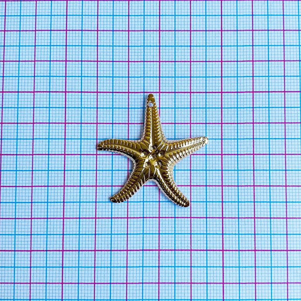 DIJE ✦ ESTRELLA DE MAR 2