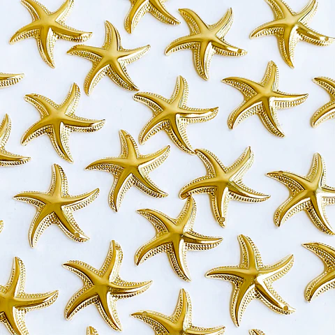 DIJE ✦ ESTRELLA DE MAR