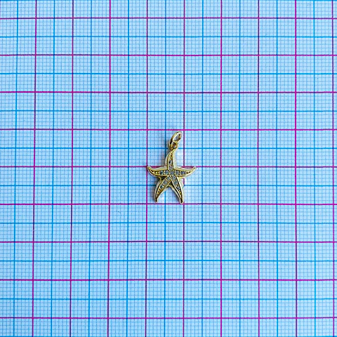 DIJE ✦ ESTRELLA DE MAR RODIO