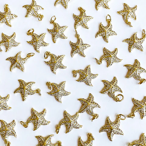 DIJE ✦ ESTRELLA DE MAR RODIO
