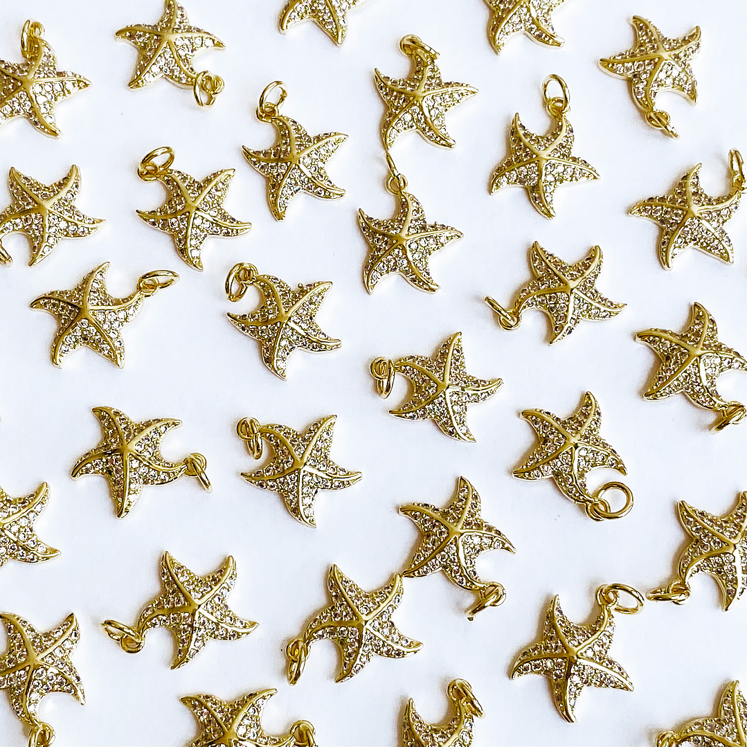 DIJE ✦ ESTRELLA DE MAR RODIO 1