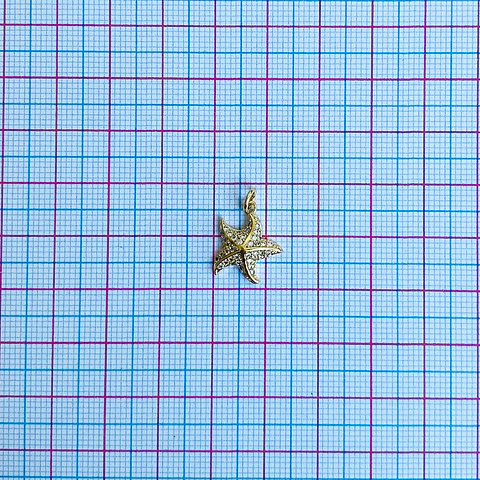 DIJE ✦ ESTRELLA DE MAR RODIO