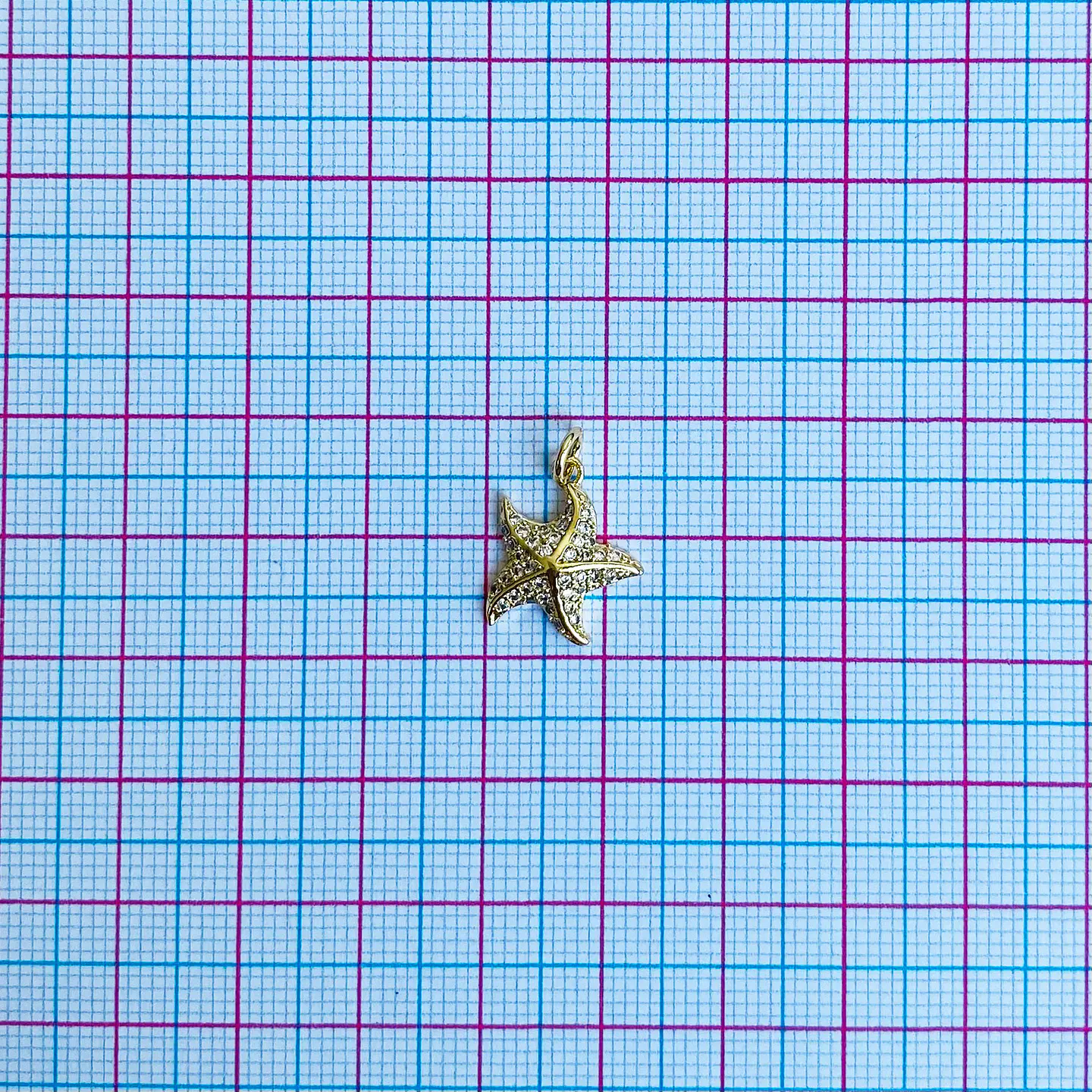 DIJE ✦ ESTRELLA DE MAR RODIO 2