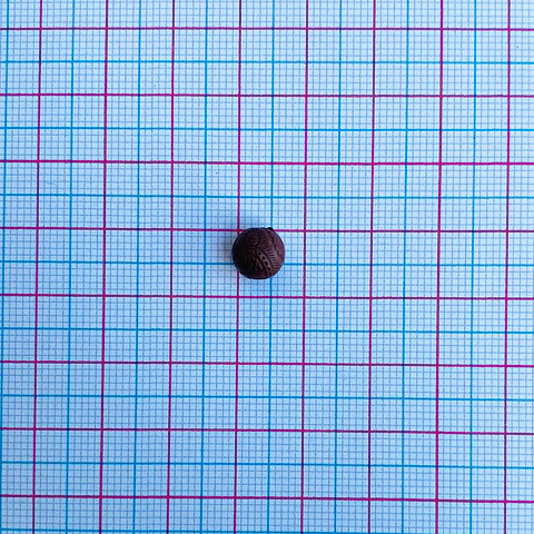 SEPARADOR ✦ BOLA VIRGEN DE GUADALUPE 8MM