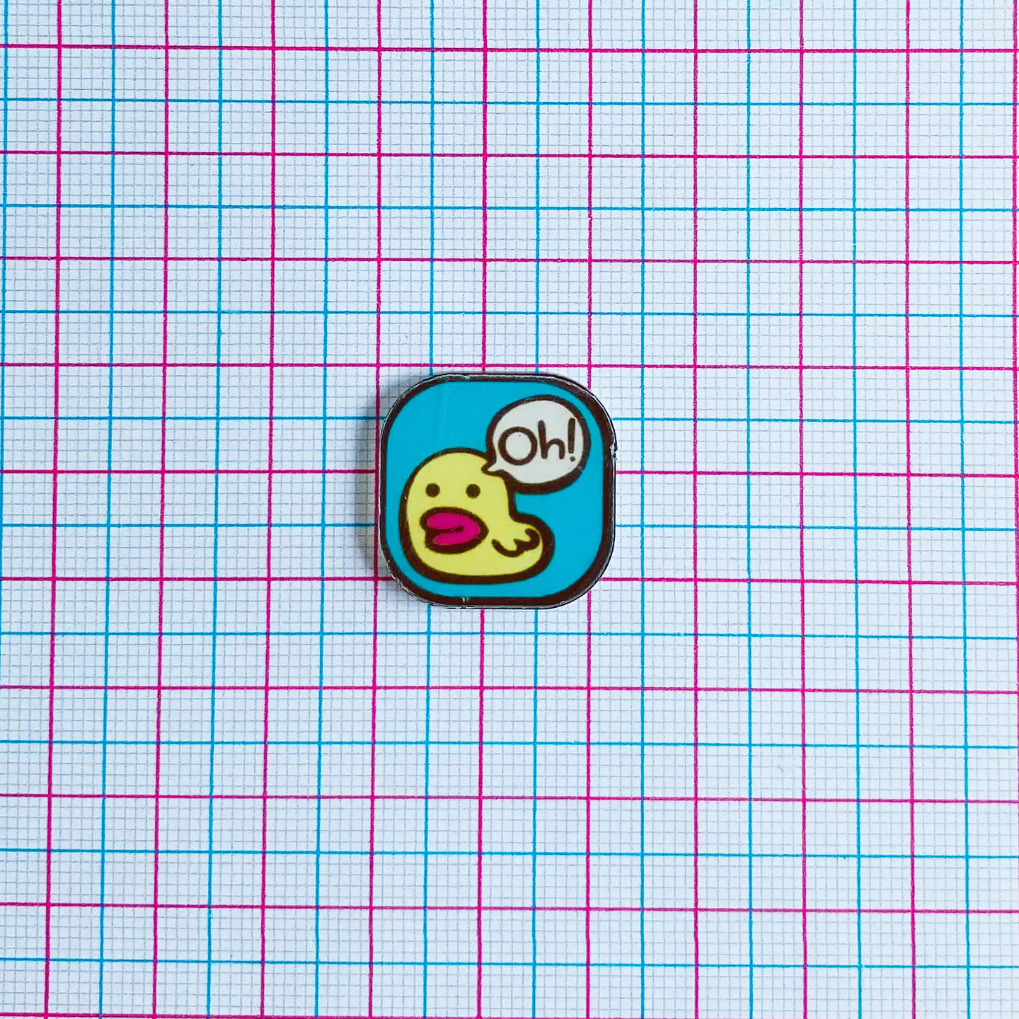 PIN ✦ PLACA PATO ACRILICO 2
