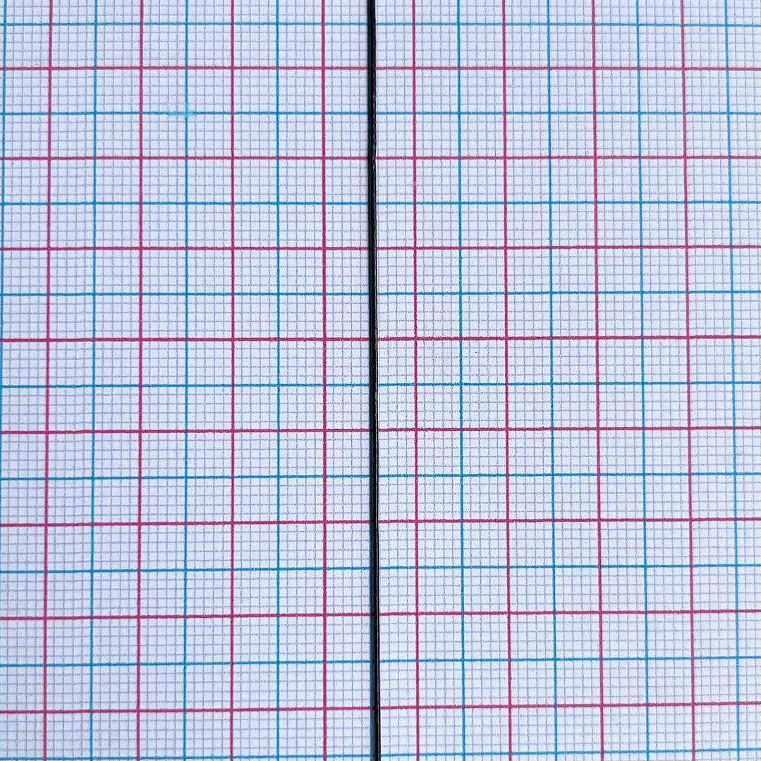 CORDÓN ✦ VÍBORA 2