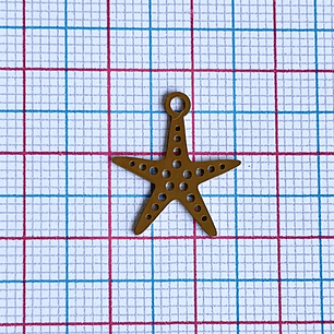 DIJE ✦ ESTRELLA DE MAR EN ACERO