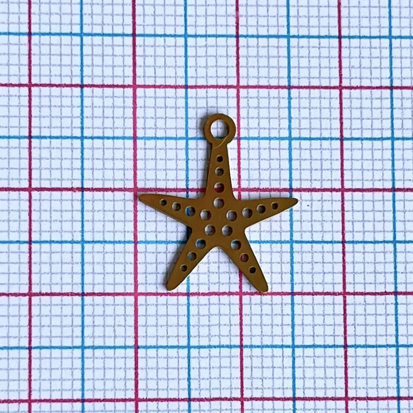 DIJE ✦ ESTRELLA DE MAR EN ACERO 2