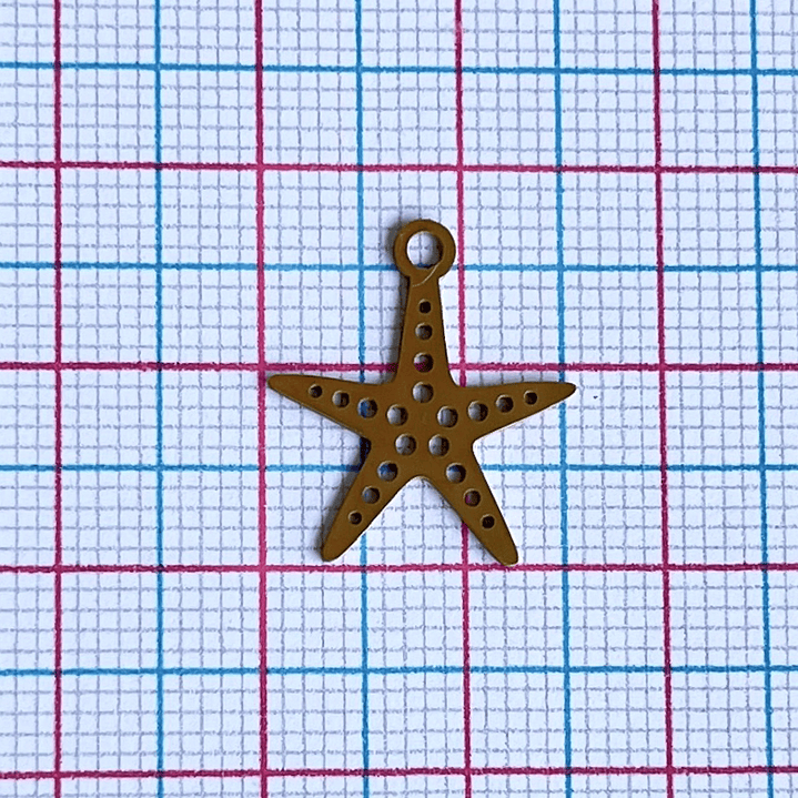 DIJE ✦ ESTRELLA DE MAR EN ACERO 2