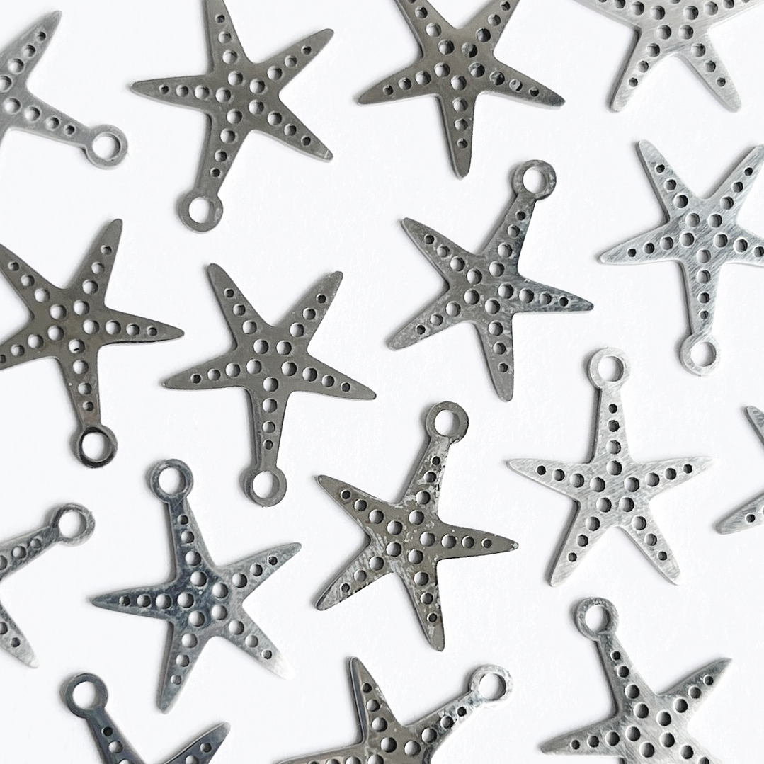 DIJE ✦ ESTRELLA DE MAR EN ACERO 1